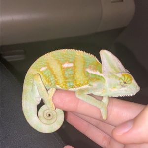 Meet your Posher, Denisse